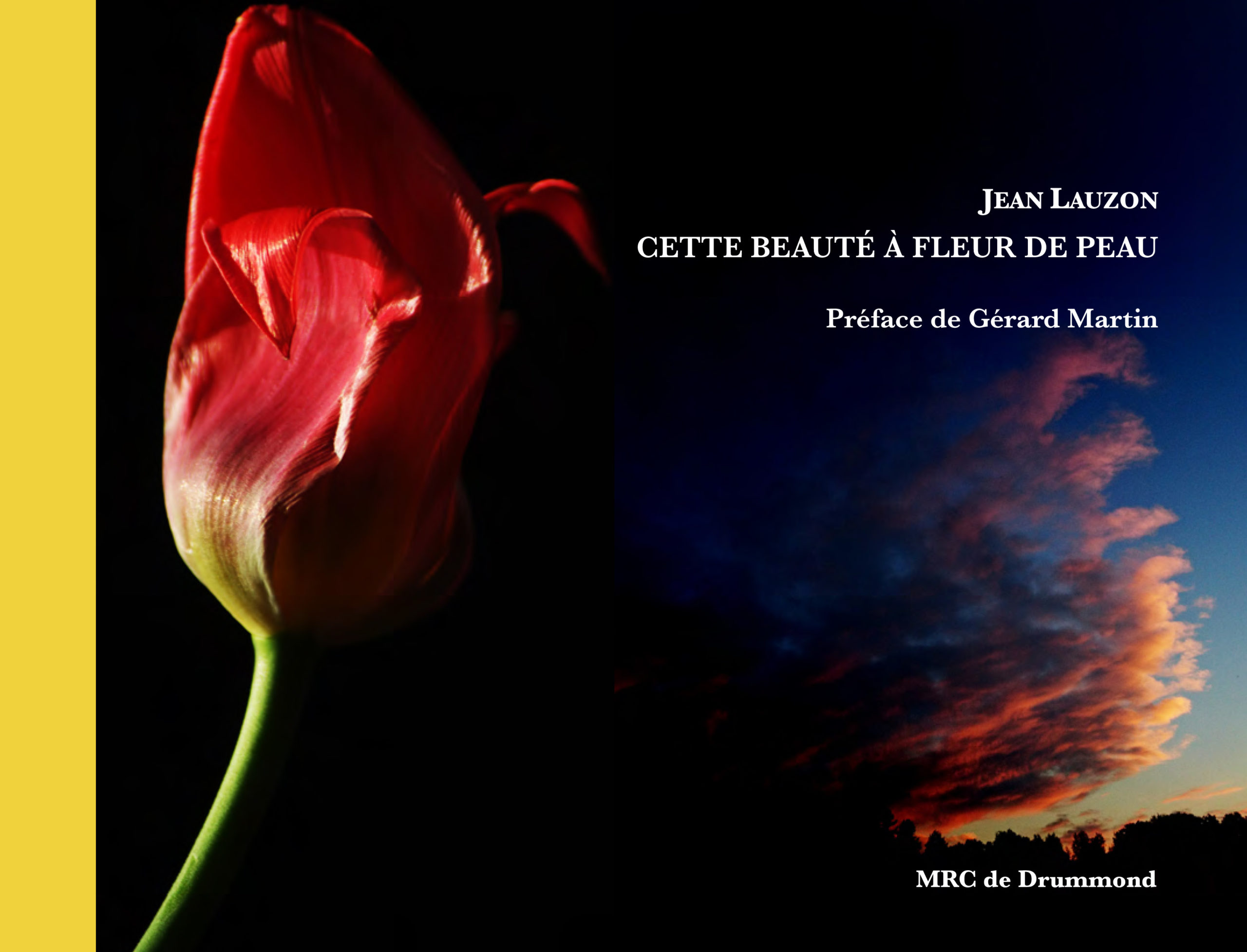 couverture_livre_j_lauzon