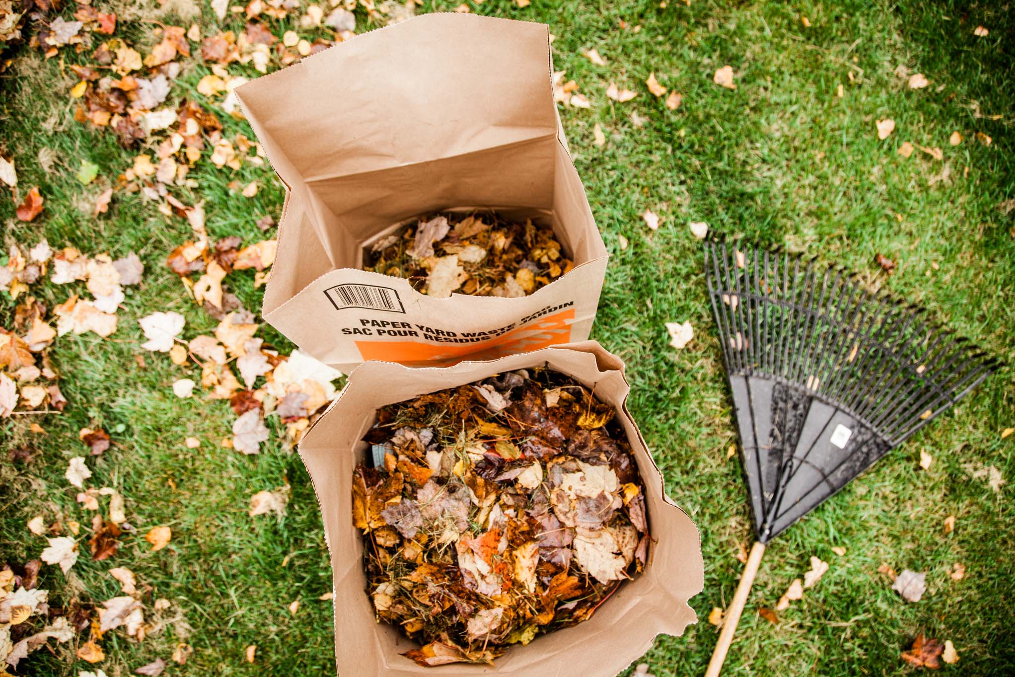 collecte_feuilles_mortes_sacs