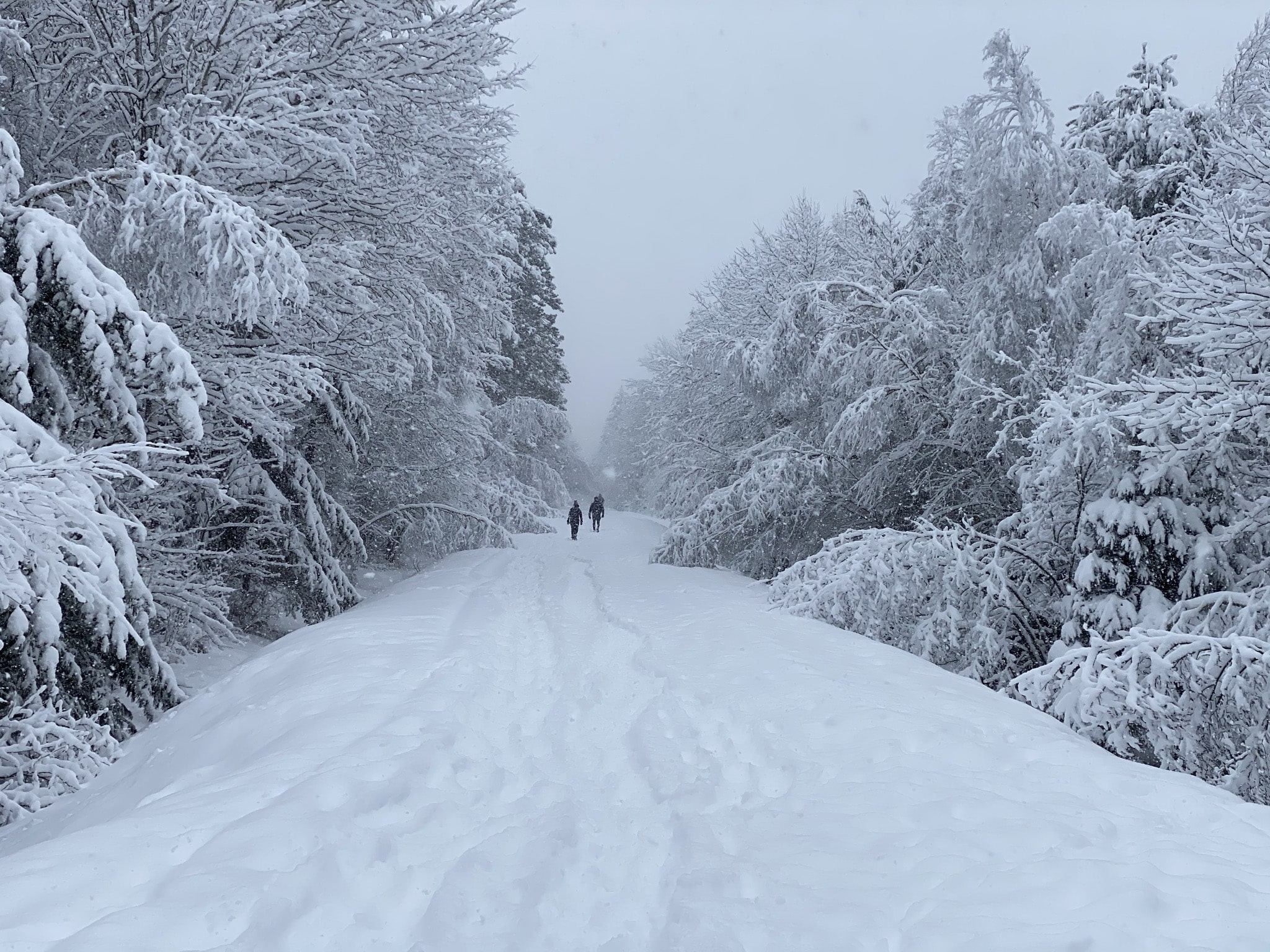 parc_regional_paysage_hivernal